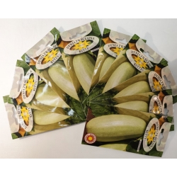 Dynia zwyczajna Kveta kabaczek roltx2